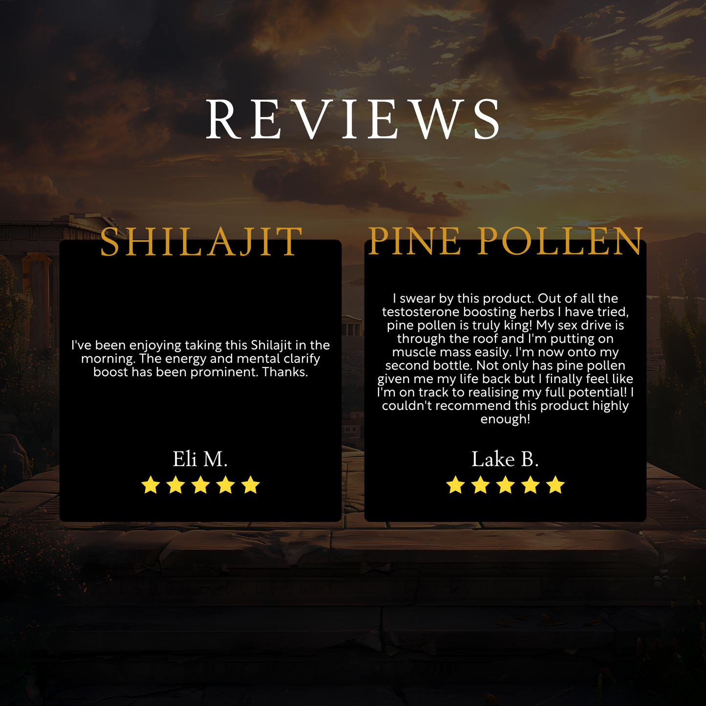 VITALITY BUNDLE ~ Shilajit + Pine Pollen