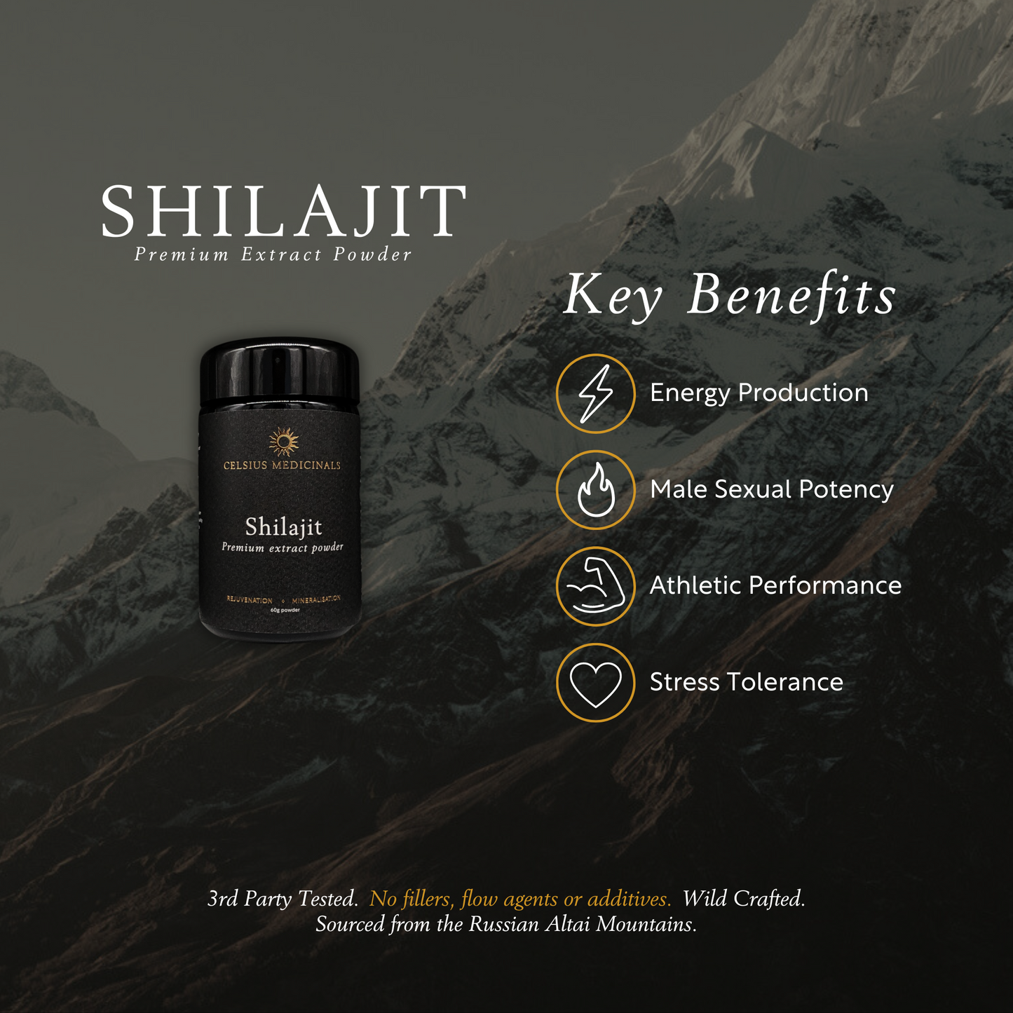 Shilajit Extract Powder