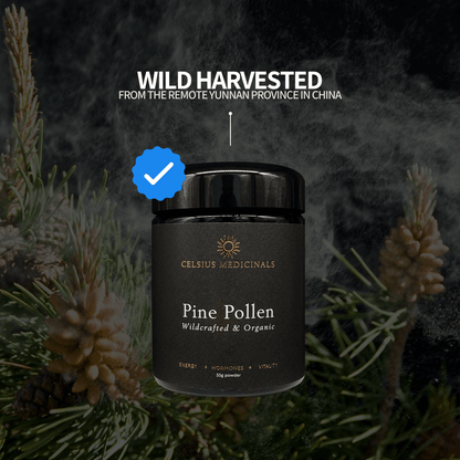Pine Pollen Powder 55g | Wildcrafted | Certified Organic