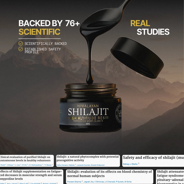 Benefits of shilajit resin, by Celsius Medicinals, is shilajit safe