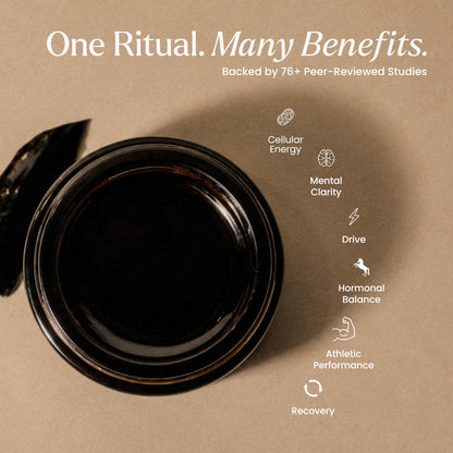 Shilajit Pure Resin