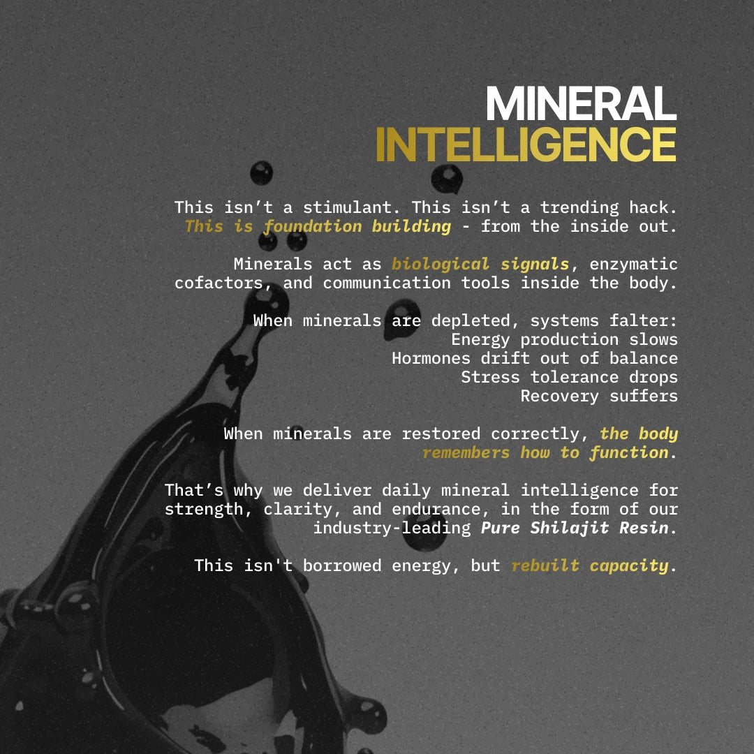 Text about mineral intelligence on a dark background explaining the minerals in shilajit.