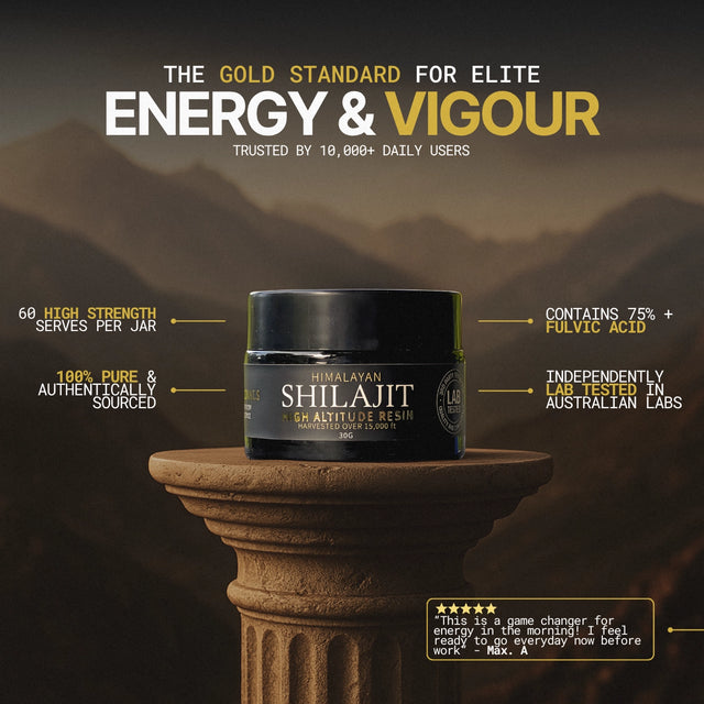 Shilajit gold standard for energy and vigour buy now